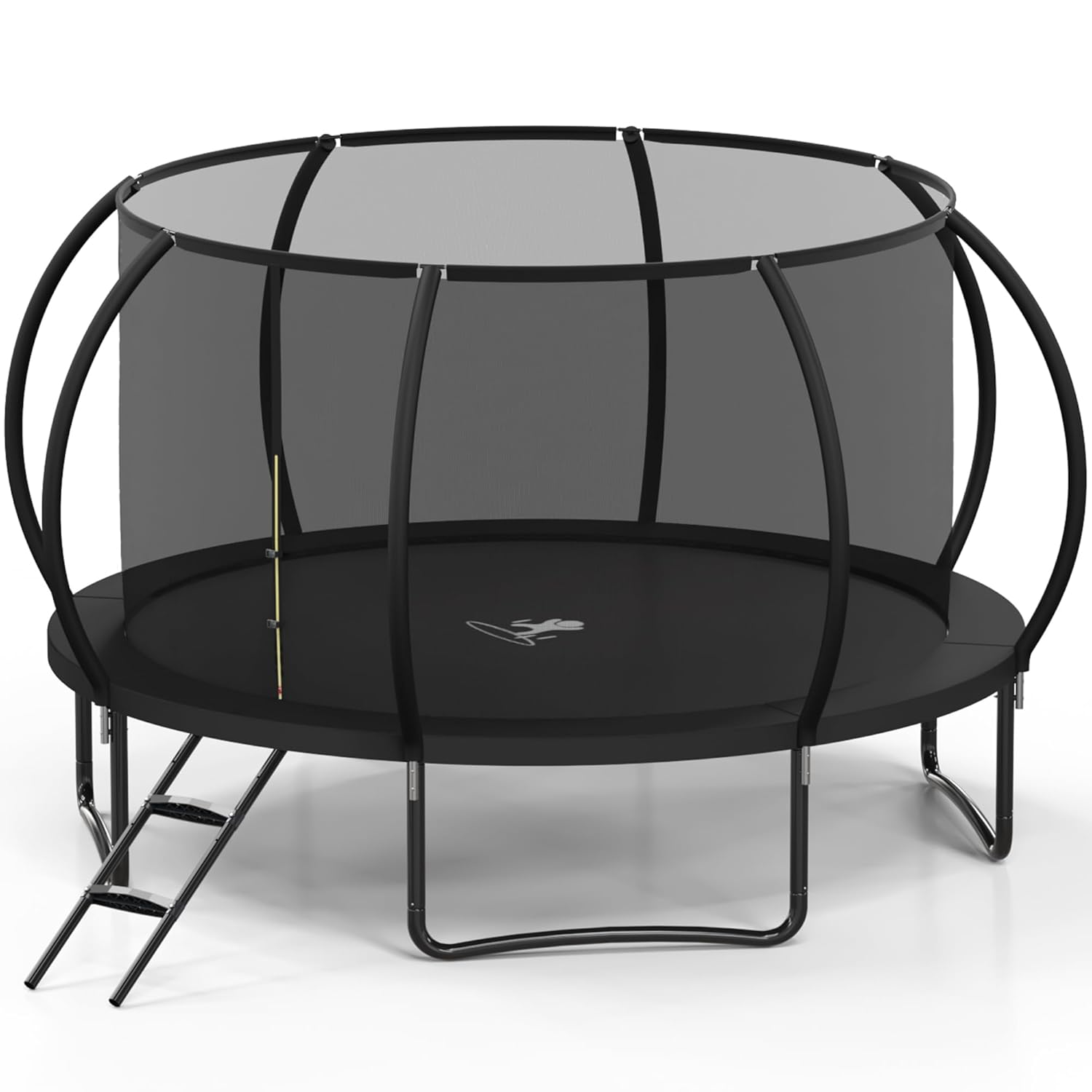 10FT Outdoor Trampoline with N - Kids Outdoor Ladder review and price